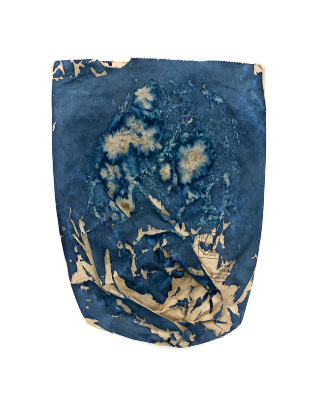 Picture of a cyanotype print on a supermarket paper bag