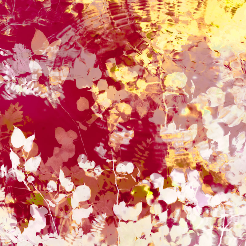 calming photograph of a pond  with red and yellow leaves reflected in an abstract limited edition photograph