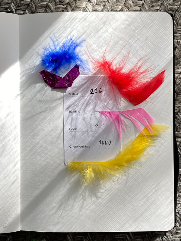 feathers and a room card as a collage from Sydney Gay pride for the 100dayproject.