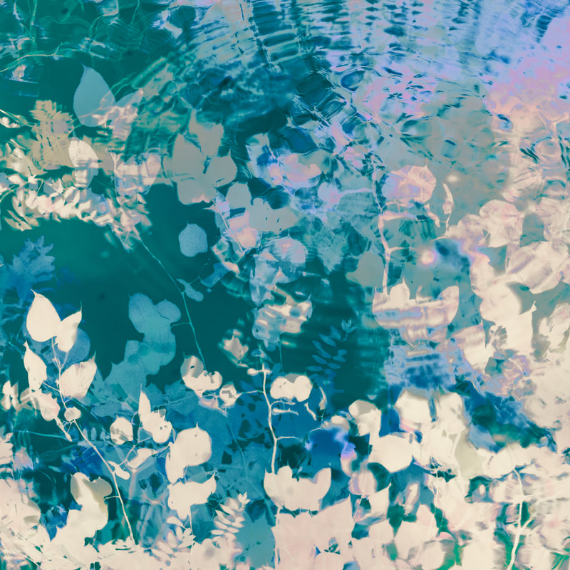 calming photograph of a pond  with green and blue leaves reflected in an abstract limited photograph avaialble as a fine art print